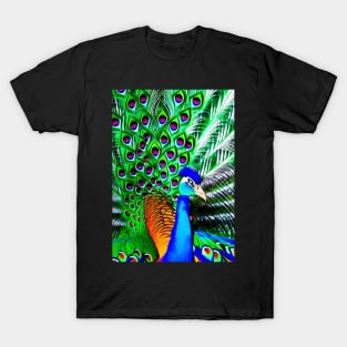 COLORFUL AND STUNNING SURREAL PEACOCK T-Shirt